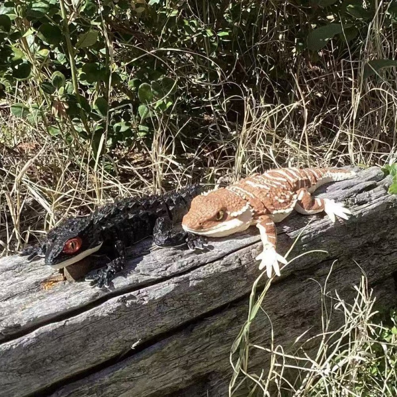 3D Printing Creative Crocodile - 3D Printing Lizard review and price