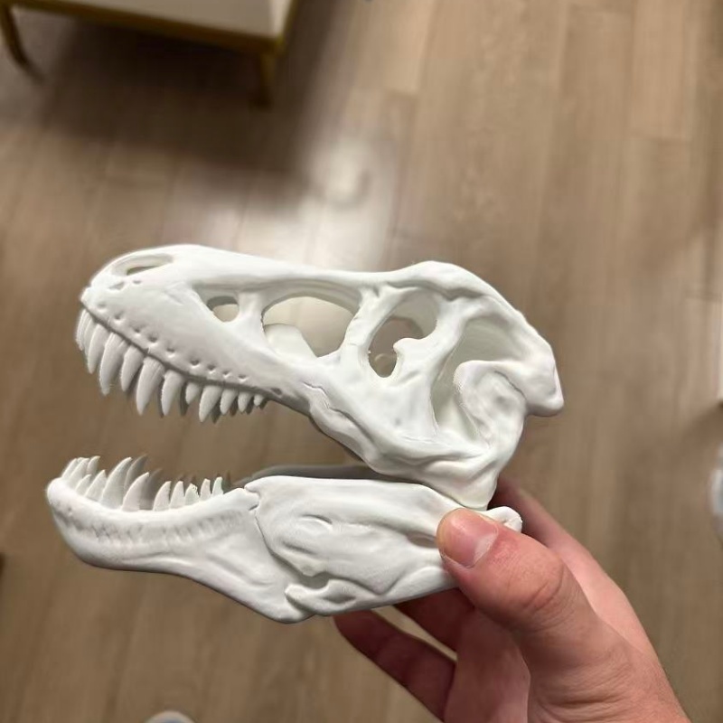 3D Printed Tyrannosaurus Rex S - 3D Printing Enthusiast review and price